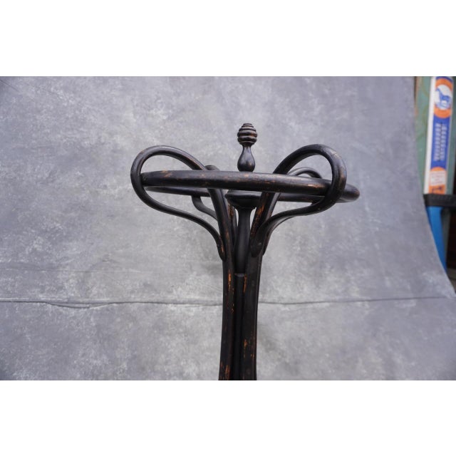 1900s Original Thonet Umbrella Stand For Sale In Los Angeles - Image 6 of 7