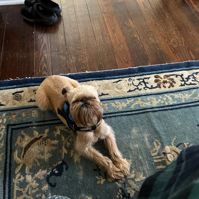 2020s Antique Toile Pillow For Sale - Image 5 of 5