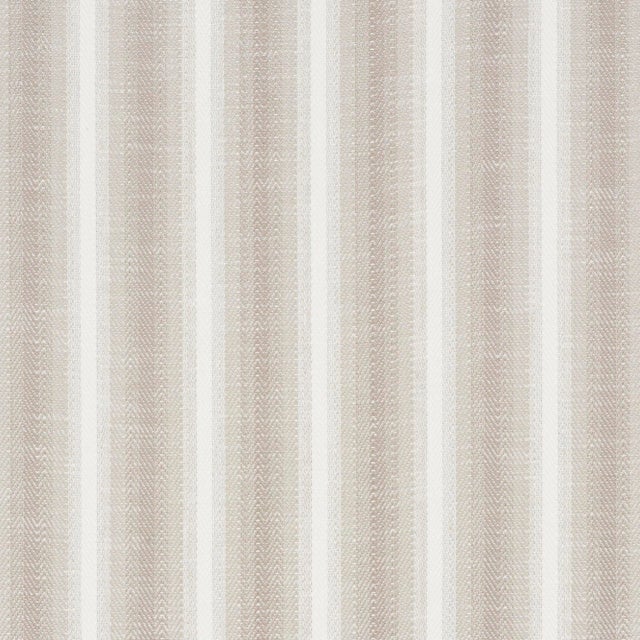 Schumacher Colada Stripe Indoor/Outdoor Fabric in Natural For Sale