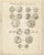 Tardieu, Antique Print of Ancient Greek Coins and Medals, 1825, Engraving For Sale - Image 3 of 9