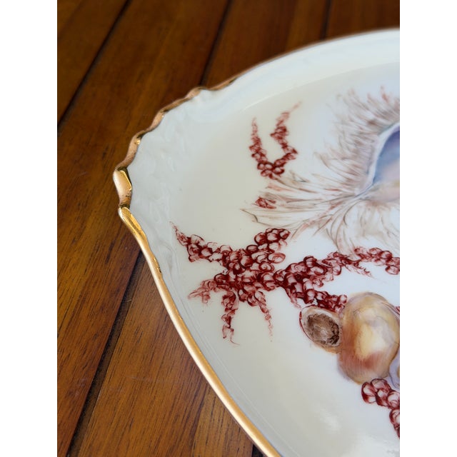 Late 20th Century Hand Painted Coastal Seashell Porcelain Tray by Carol Psches With Gilt Edge For Sale - Image 5 of 12