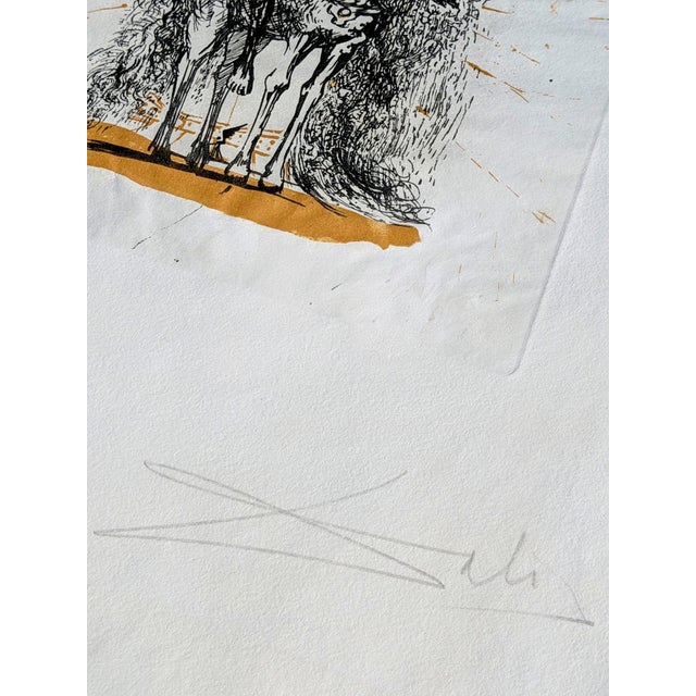 Salvador Dali, Knight with Butterflies, 1971, Engraving For Sale - Image 8 of 13