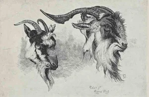 After Charles Coleman, Antelope in the Roman Countryside, 1992, Original Etching