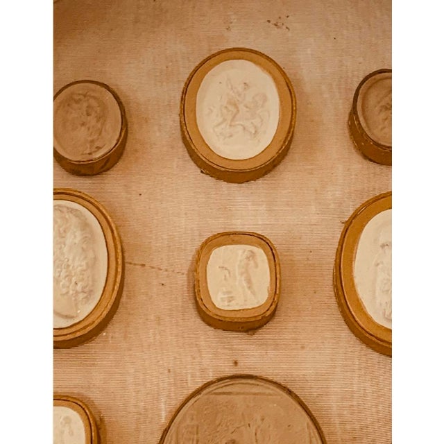 Framed Collection of Grand Tour Plaster Intaglios, 18th/19th Century — Shadow Box of Classical Cameos For Sale - Image 12 of 15
