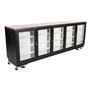 19th Century English Glazed Apothecary Shop Counter in Ebonised Mahogany