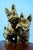 Carmelo Ganci, Scottish Terrier Dog Sculpture, Ceramic For Sale - Image 11 of 18