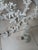 1990s Coastal White Ceramic Reef Chandelier 6 Light For Sale In Naples, FL - Image 6 of 8