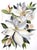 "Magnolia No. 70" Contemporary Original Botanical Flower Watercolor Painting by Elizabeth Becker For Sale