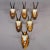 Rustic European Vintage Set of Six Chamois Trophies on Wooden Plaques, Germany Ca. 1950s For Sale - Image 3 of 7