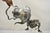 Antique Hunt & Roskell Late Store & Mortimer Silver Plated Tilting Tea Pot Stand. Circa Early 20th Century. Measurements:...
