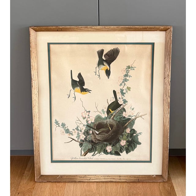 John James Audubon Pair of Vintage Framed Bird Illustration Lithographs by John James Audubon For Sale - Image 4 of 17