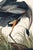 Not Yet Made - Made To Order American Flamingo & Great Blue Heron Diptych, Audubon Birds of America Art Prints, 32" X 48" For Sale - Image 5 of 10