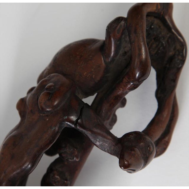 Early 19th Century Chinese Rootwood Fly Whisk, 19th Century For Sale - Image 5 of 8