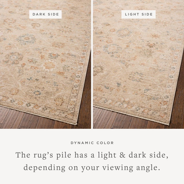 Textile Chris Loves Julia x Loloi Palma Natural / Multi 7'-10" x 10' Area Rug For Sale - Image 7 of 7