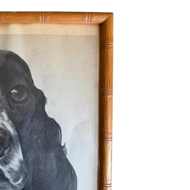 Mid 20th Century Ray De Santis Sporting Dog Portrait, English Cocker Spaniel in Bamboo Frame For Sale - Image 4 of 8