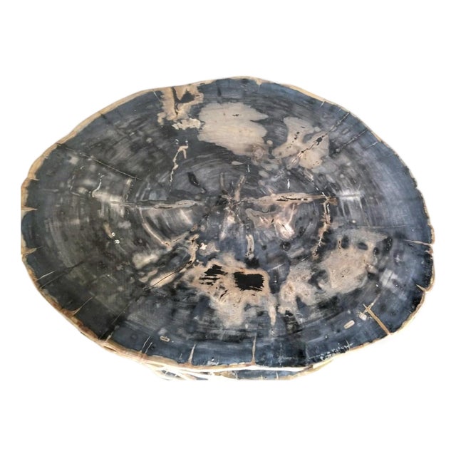 Andrianna Shamaris Petrified Wood Coffee Table W/ Teak Base--VIVIAN For Sale