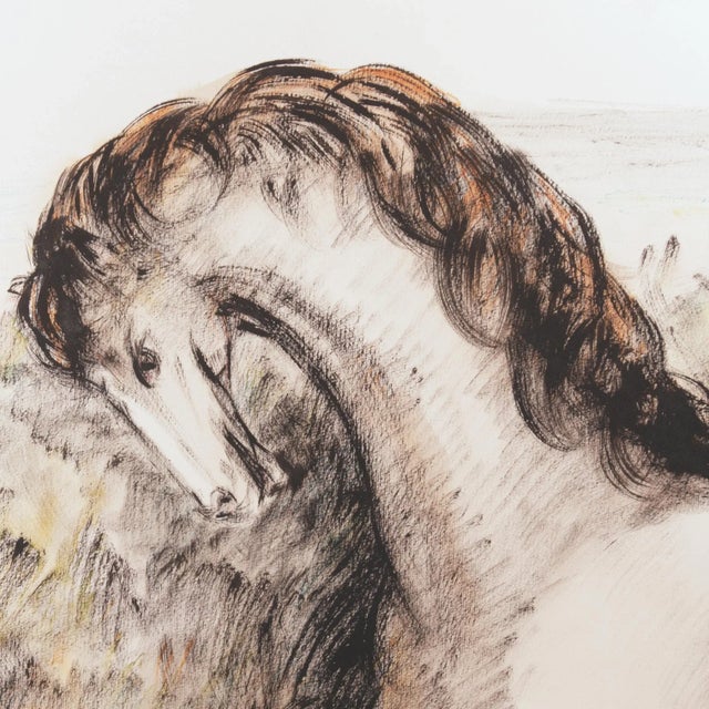 Domenico Purificazione, Horse, 1980s, Gouache For Sale - Image 9 of 9