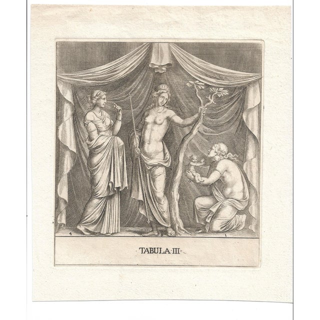 Antique engraving of the Birth of Adonis (from his mother Myrrha in the form of a Myrrh tree). Combined shipping...