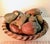 1960s Large 16" Vintage Mexican Terracotta Centerpiece Bowl & 10-Piece Fruit Set For Sale - Image 5 of 6