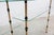 Mid-Century Modern Glass and Brass Pastry Display Shelf, 1950s For Sale - Image 3 of 18
