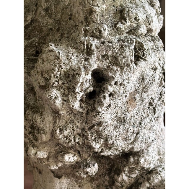 Mid-Century French Faux Bois Concrete Tree Stump Planter in Sculptural Burl Form For Sale In Little Rock - Image 6 of 17