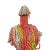 African Fali Glass Beaded Figures-A Pair For Sale - Image 4 of 5