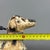 Artigianale, Watering Can Dog Sculpture, 1950s, Iron For Sale - Image 9 of 11