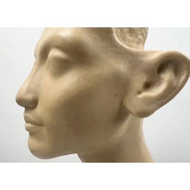 Louvre Museum Reproduction Classical Male Bust, French Plaster Sculpture on Wood 1990's For Sale - Image 10 of 17