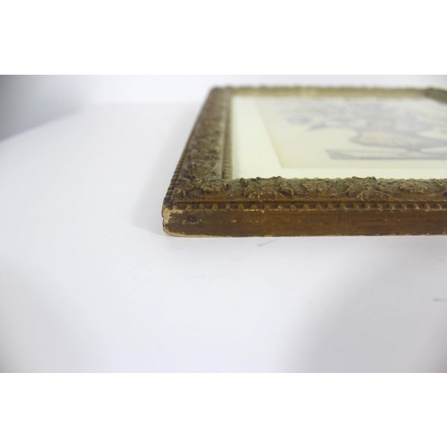 Antique Coloured Botanical Illustration Engraving Antique Wood and Plaster Frame Floral French Art For Sale - Image 10 of 11