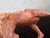 Vintage Italian Rearing Horse Resin Sculpture by A. Giannetti – Faux Carved Wood Finish For Sale - Image 9 of 9