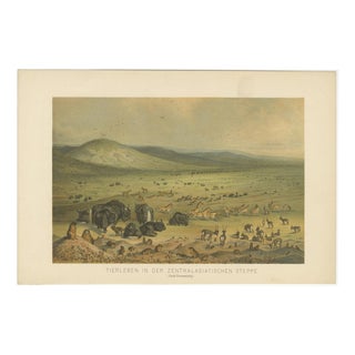 German School after Nikolai Przhevalsky, Wildlife of the Central Asian Steppe Natural History Lithograph, 1883, Lithograph For Sale