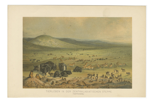 German School after Nikolai Przhevalsky, Wildlife of the Central Asian Steppe Natural History Lithograph, 1883, Lithograph