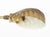 Mid-Century Modern Brass Shell Motif Floor Lamp For Sale In New York - Image 6 of 7