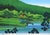 Importing art into the united states is exempt from all u.s. Tariffs but please, do check “ritsurin garden ii” — masao...