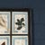 Wood 20th Century Italian Large Oak Frame with Pressed Flowers and Herbs For Sale - Image 7 of 18