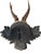 1900 - 1909 Roe Deer Trophy 154 Black Forest Antlers Mount For Sale - Image 5 of 5
