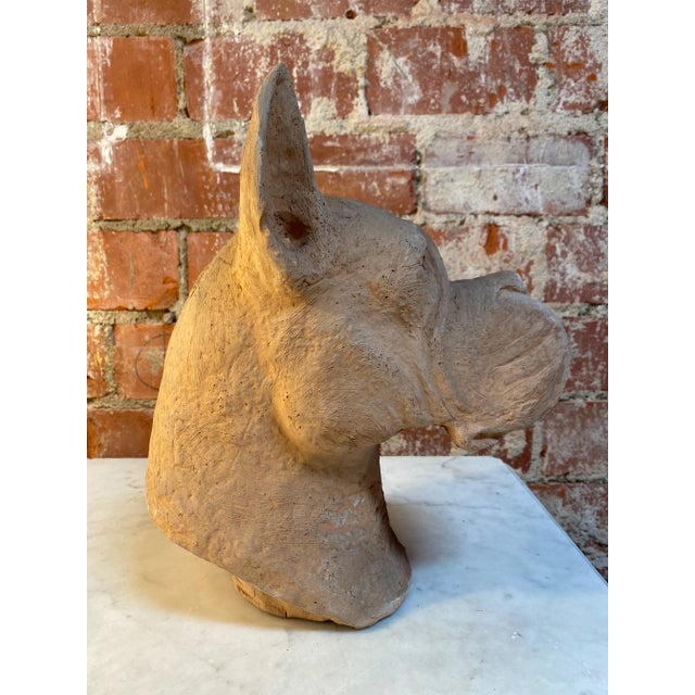 Brown 1980s Italian Terracotta Cane Corso Sculpture For Sale - Image 8 of 9