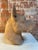 Brown 1980s Italian Terracotta Cane Corso Sculpture For Sale - Image 8 of 9