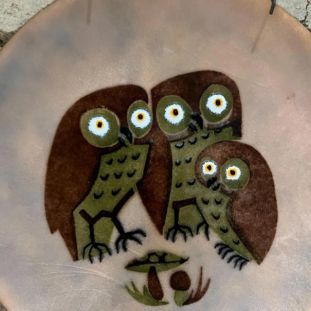 1960s Hand Crafted Enamel Owl Plate by Annemarie Davidson Sierra Madre, Ca For Sale In San Diego - Image 6 of 12