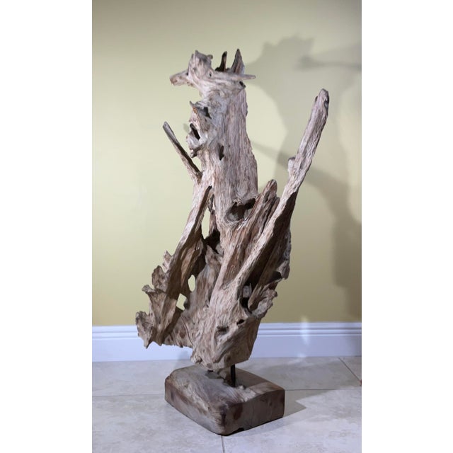 Sand Large Natural Abstract Driftwood Sculpture For Sale - Image 8 of 12