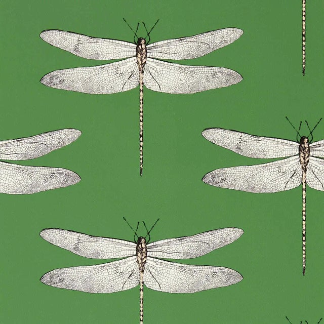 Harlequin Demoiselle Wallpaper in Kelly/First Light/Blush - a Sample For Sale