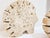 Brutalist Italian Brutalist Travertine Hedgehog Sculptures attributed to Fratelli Mannelli, Italy, 1970s, Set of 2 For Sale - Image 3 of 7