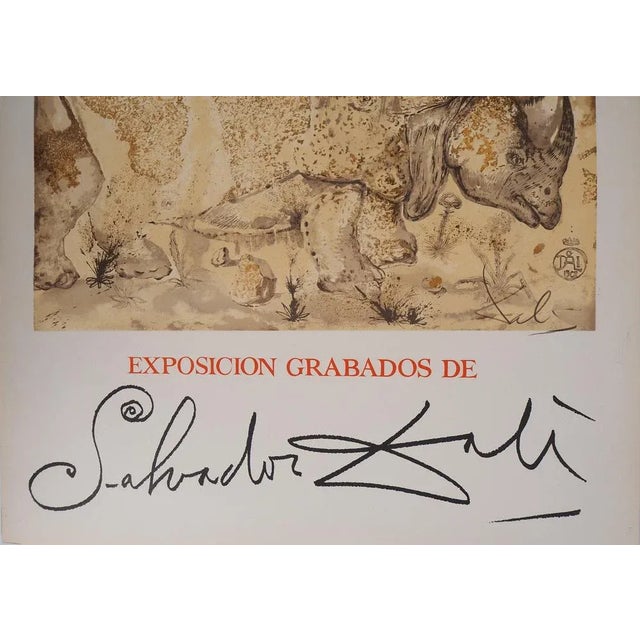 Salvador Dali, Rhinoceros, Homage to Albrecht Dürer, Lithograph Poster For Sale - Image 4 of 5