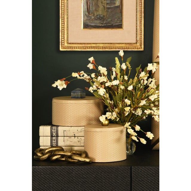 Matthew Izzo Home Emma Round Ivory Faux Leather Container With Lid and Brass Ball Handle For Sale In New York - Image 6 of 7