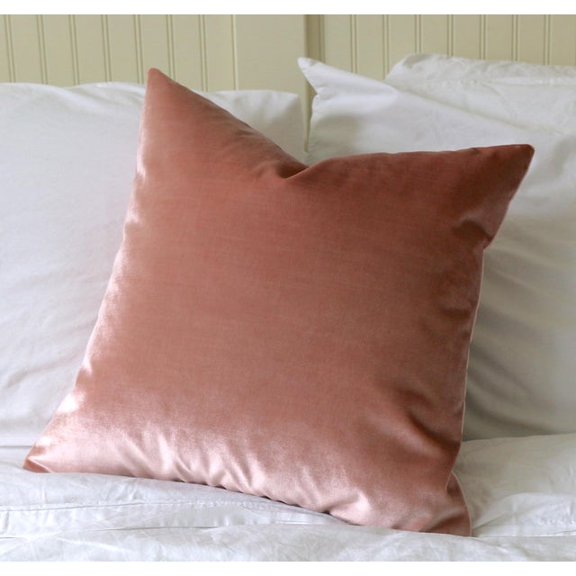 Blush Velvet Pillow Cover Chairish