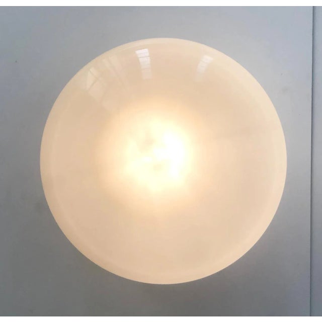 Metal 21st Century Polished Brass and Glossy Gray Uno Flush Mount by Fabio Ltd For Sale - Image 7 of 7