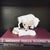 Castagna Original - White Buffalo Bison Standing on Rock Figurine Sculpture Hand Crafted in Italy, 1988 For Sale In Houston - Image 6 of 6
