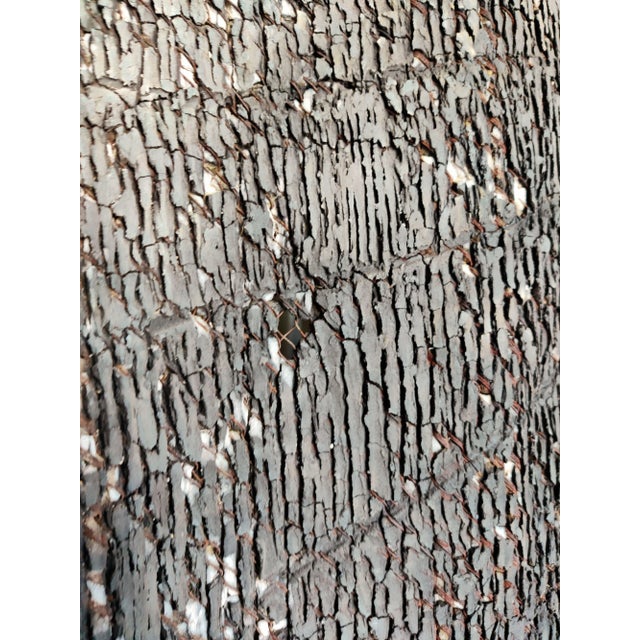 Somieres Collection Ceramic Artwork by Alberto Hernández, 1999 For Sale - Image 13 of 15