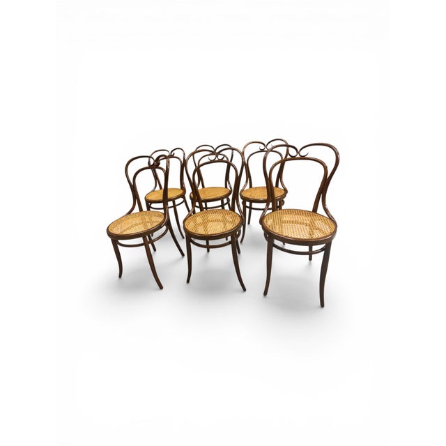 Brown Chairs from Jacob and Josef Kohn, 1890s, Set of 6 For Sale - Image 8 of 8