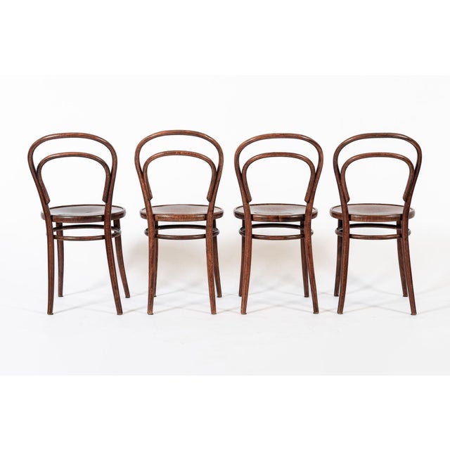Mid-Century Modern Vintage Bent Wood Cafe Bistro Chairs by Drevounia, Set of 4 For Sale - Image 3 of 10